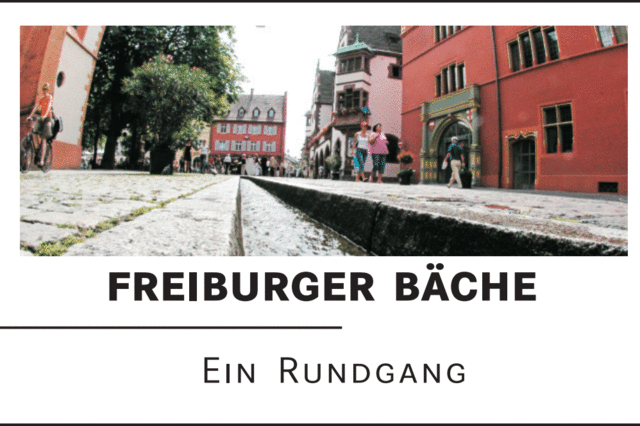 Bach in wildromantischer Schlucht