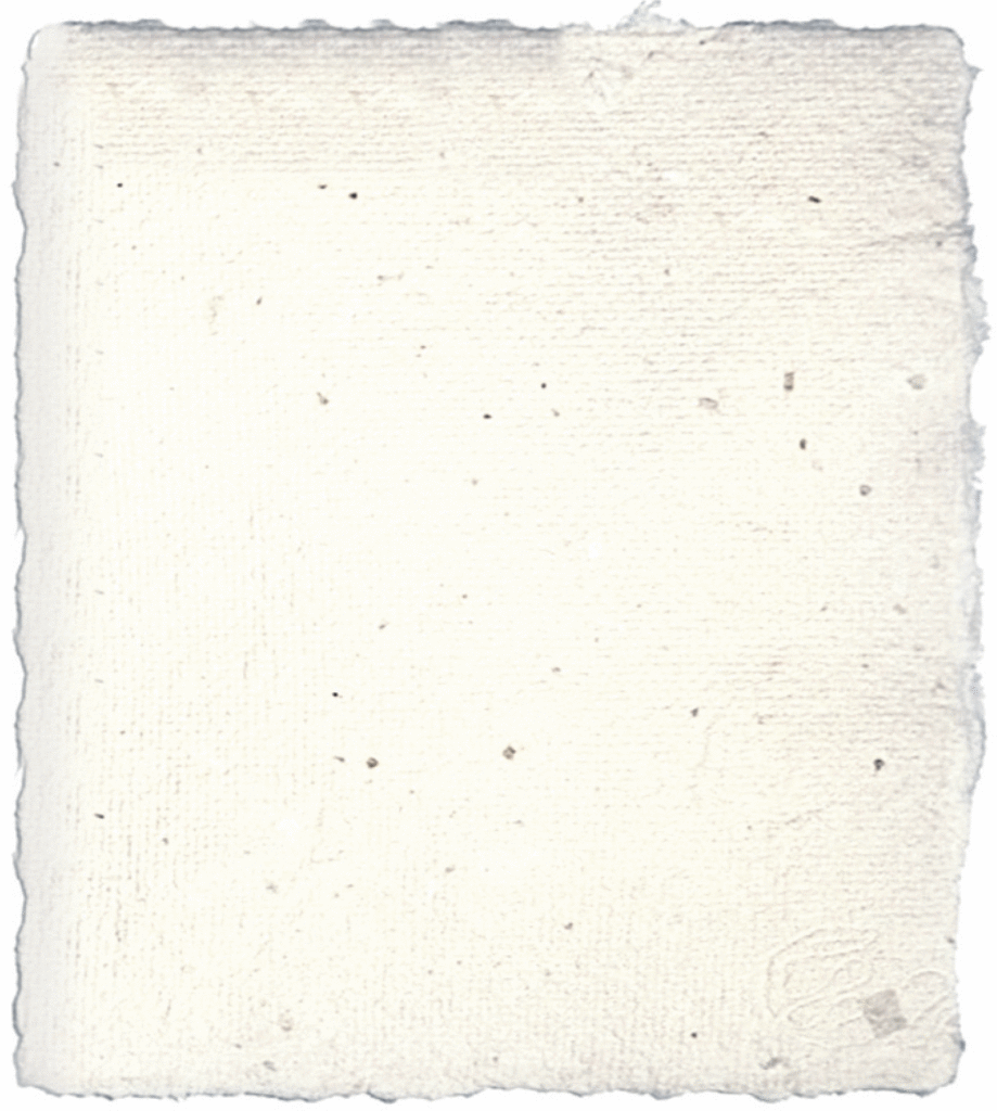 (M)EIN GEDICHT Lichtung Offenburg Badische Zeitung