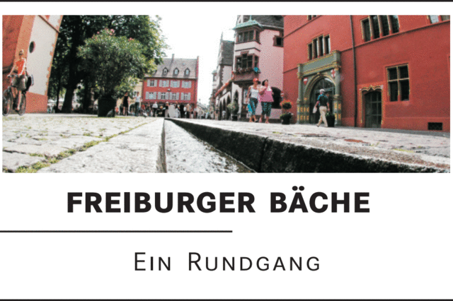 Die Lebensader des alten Freiburg