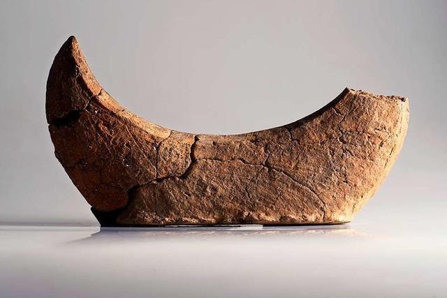 Im Museum.BL sind rtselhafte Hrner aus der Bronzezeit zu sehen