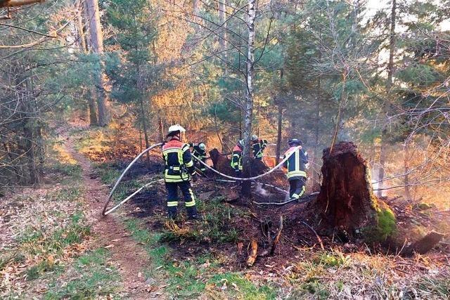 Das Landratsamt warnt vor groer Gefahr von Waldbrnden
