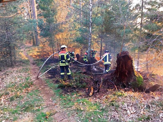 Flchenbrand im vergangenen Jahr am Ho...ll ist die  Waldbrandgefahr sehr hoch.  | Foto: Feuerwehr Offenburg