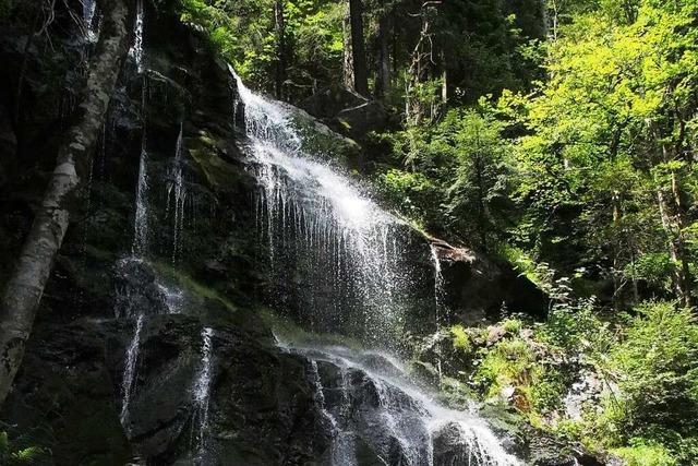 Durch mystisch anmutenden Wald zu den Zweribachwasserfllen in St. Peter