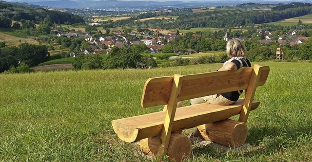 Solche Bnke hat der Wollbacher Frderverein aufgestellt.   | Foto: Volker Born