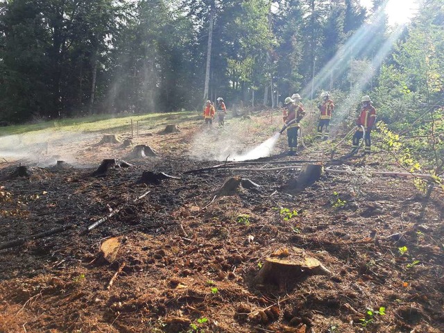 Ein Blitz hatte in Wagensteig im Wald einen Brand ausgelst.  | Foto: Feuerwehr