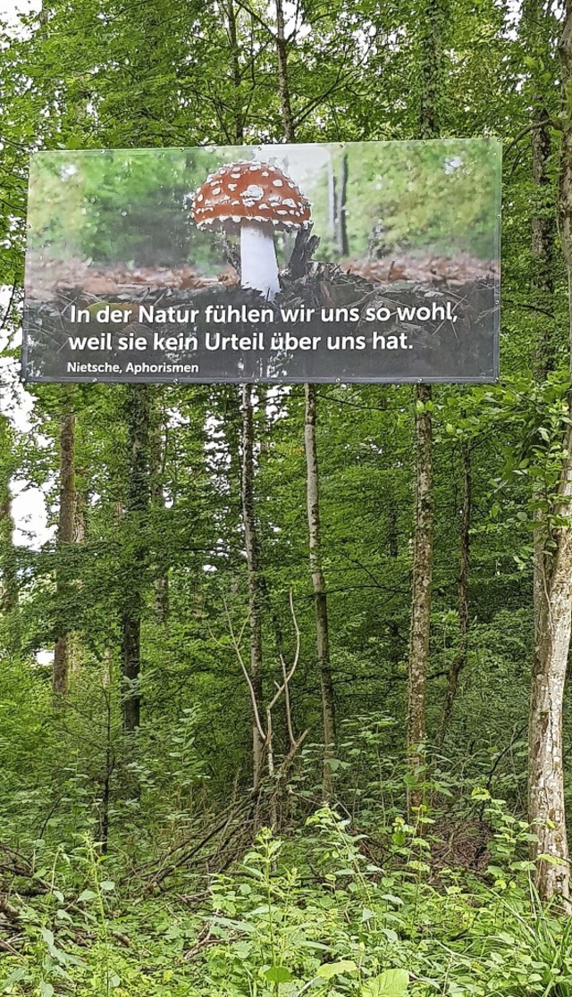 Werbung fr den Wald als Naturraum: Tr... Stellen im Kreis fr Aufmerksamkeit.   | Foto: Gerhard Walser