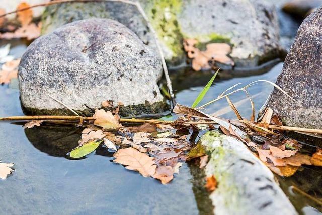 Landratsamt Waldshut verbietet das Abpumpen aus Gewssern