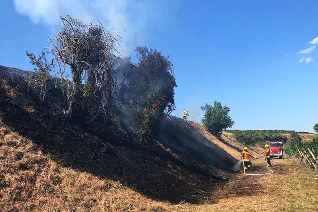 Bschungsbrand bei Herbolzheim