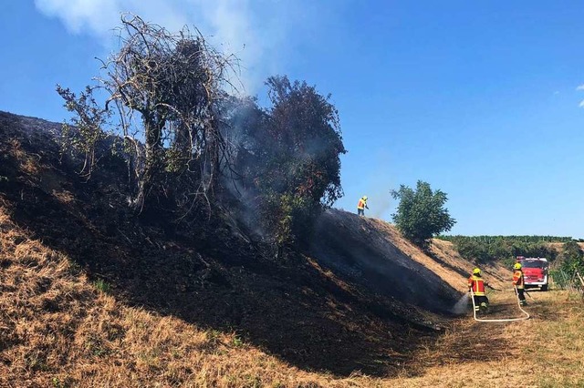 Erneuter Einsatz wegen eines Flchenbrandes fr die Herbolzheimer Wehr   | Foto: Feuerwehr Herbolzheim