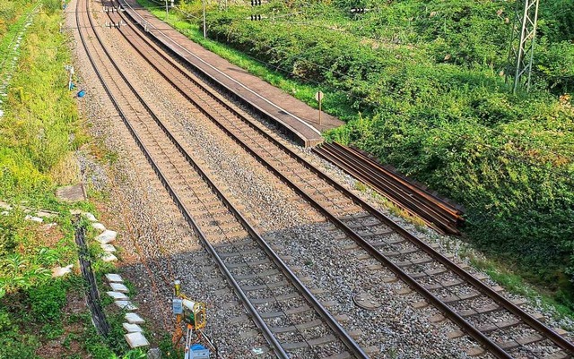 Am 28. August endet die Einwendungsfri...nitt 8.2 beim Ausbau der Rheintalbahn.  | Foto: Julius Wilhelm Steckmeister