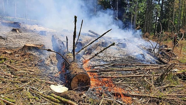 Erst krzlich ist ein Waldstck  bei Murg in Brand geraten.  | Foto: Feuerwehr Murg