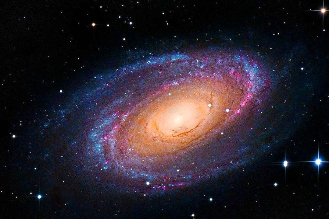 Galaxie M81 im  Sternbild Großer Bär.  | Foto: Julian Shroff