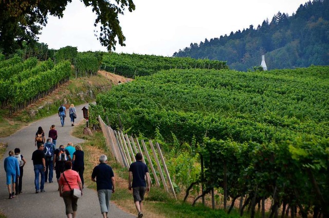 Kein Weinwandertag rings um Offenburg in diesem Jahr.   | Foto: Ralf Burgmaier