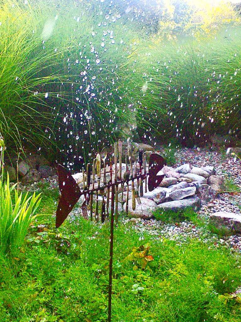 Willkommene Abkhlung fr den Fisch im Garten. Beim Urlaub im Garten der Freundin in Grenzach.