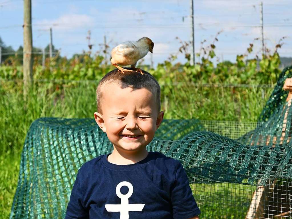 Meine  besten Freundin Leonie und ich machen bei ihr in Wollbach Urlaub. Ihre Cousine Jana (7) und ihr Cousin Finn (4) sind auch dabei. Dort gibt es auch Kken. Finn wurde das kleine Kken auf den Kopf gesetzt – dabei entstand dieses lustige Foto.