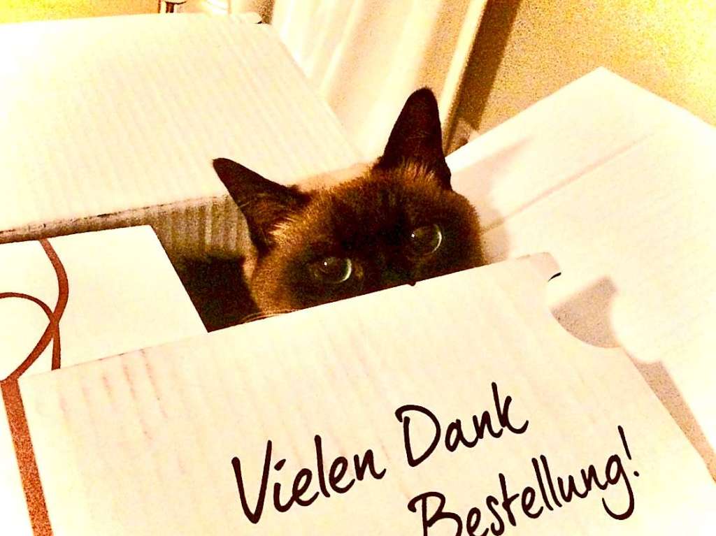 Unsere Katze Merle liebt Kartons, sobald einer eintrifft und ausgepackt wird, setzt sie sich  rein, egal wie klein oder gro diese Kiste ist.