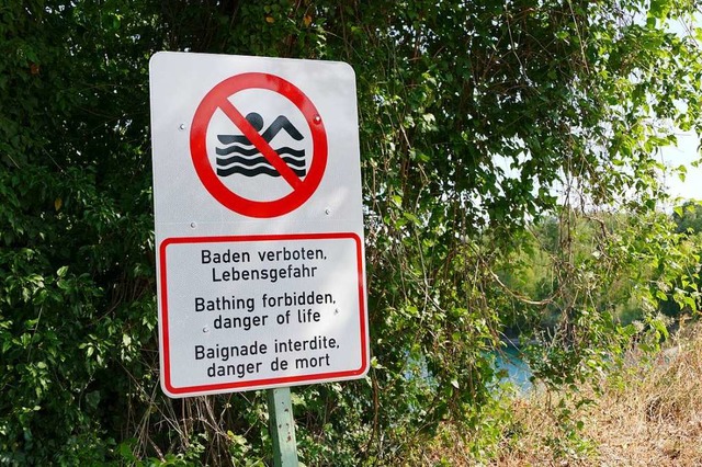 Am Zienkener Baggersee ist nicht nur d..., sondern nun auch der Zugang zum See.  | Foto: Susanne Ehmann