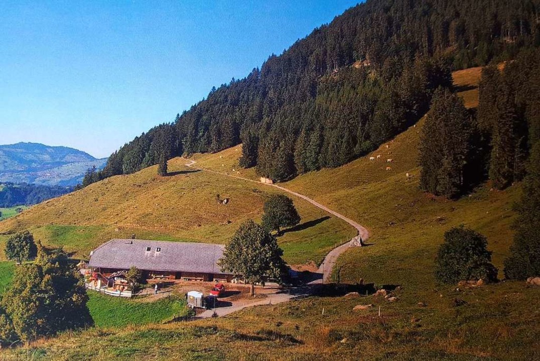 Auf dieser Schweizer Alm war Erich Ohnemus bei einem seiner Bergbauerneinsätze.  | Foto: Repro Beate Zehnle-Lehmann