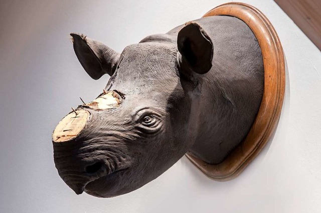 Nashorn ohne Horn aus dem Offenburger Museum im Ritterhaus  | Foto: JOSS ANDRES