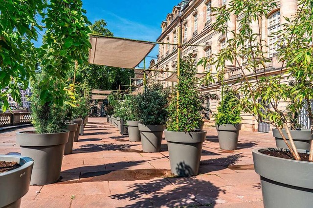 Auf der  Terrasse des Rohan-Schlosses ...l in Straburg soll es grner werden.   | Foto: teli