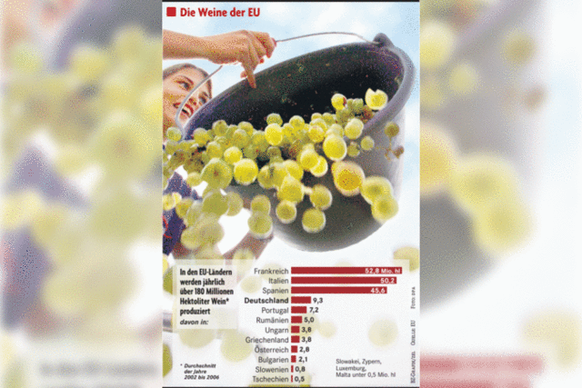 Winzer sind sauer auf EU