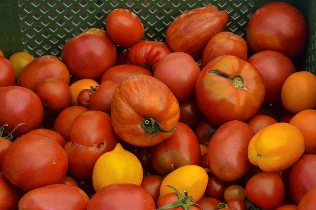 Tomatenvielfalt: Auf dem Kleinsthof ge... Produkte, die unverflscht schmecken.  | Foto: Gabriele Hennicke