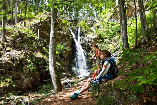 Premiumwanderweg Wassersteig  | Foto: Anita Fertl