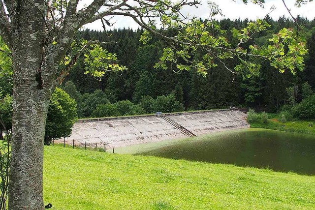 Die Staumauer am Plattensee muss berprft und saniert werden.  | Foto: Markus Donner