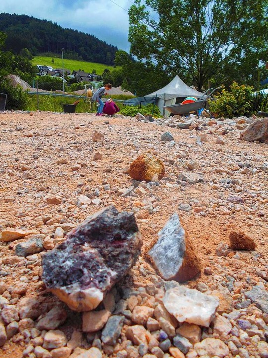 Auf der Mineralienhalde der Grube Clar...hsene nach seltenen Mineralien suchen.  | Foto: Manuela Müller
