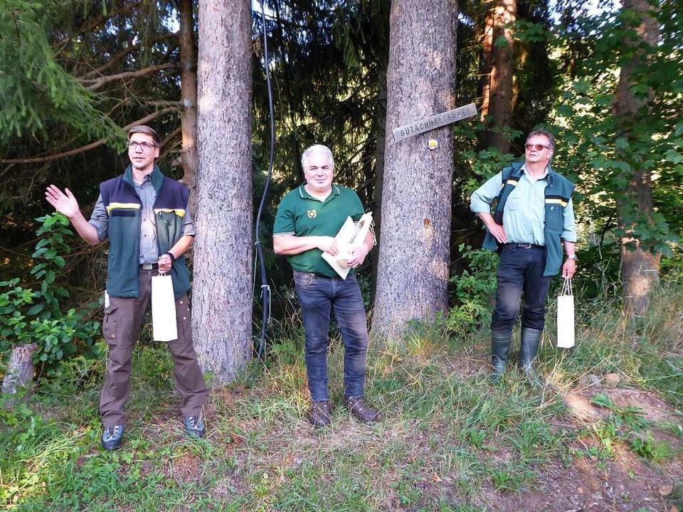 Ein Nasslager kann Sturmholz für längere Zeit perfekt konservieren