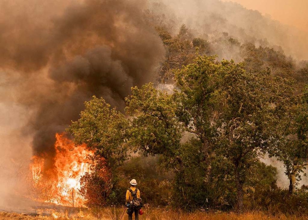 Waldbrände in Kalifornien Tausende fliehen vor den Flammen Panorama Badische Zeitung