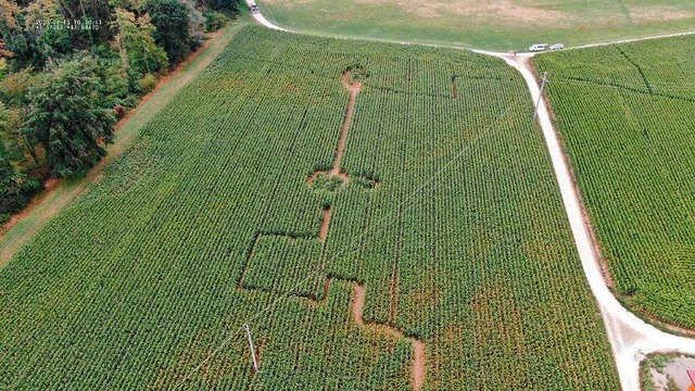 Das Luftbild zeigt das &#8222;Labyrinth&#8220; von oben.  | Foto: Polizeiprsidium Freiburg