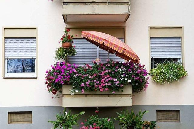 Fotos: Freiburg, das sind deine Balkone