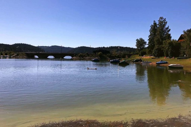 Blulich-grn und trb ist das Wasser ...das Foto wurde am Freitag aufgenommen.  | Foto: Jochaim Pfeifer