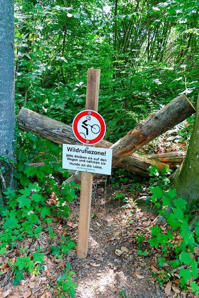 Mit Hindernissen  und Hinweisschildern...rail im Mai vom Forst gesperrt worden.  | Foto: Ulrich Senf