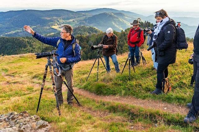 Profitipps für Naturfotografie im Schwarzwald und im Kaiserstuhl