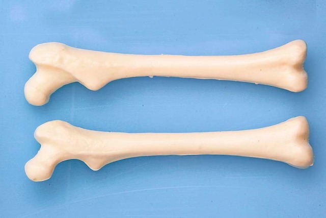 Knochen aus der Dse?  | Foto: euthymia  (stock.adobe.com)