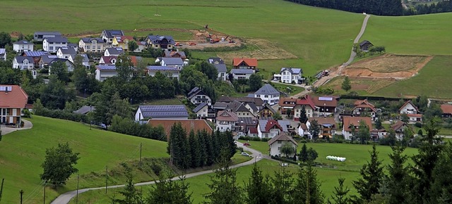 Oberhalb von Biederbach-Dorf laufen im...egenberliegenden Strae zur Selbig).   | Foto: Nikolaus Bayer