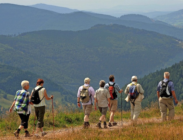 Wanderer sieht der Schwarzwald derzeit...mussektor gleichen sie aber nicht aus.  | Foto: Rolf Haid