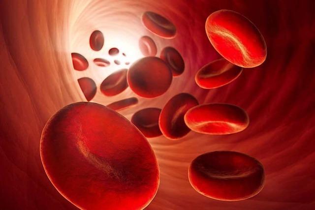 US-Regierung erlaubt Behandlung von Covid-19 mit Blutplasma