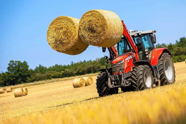 Die Landwirte haben mit hohen Auflagen zu kmpfen (Symbolfoto).  | Foto: Moritz Frankenberg (dpa)