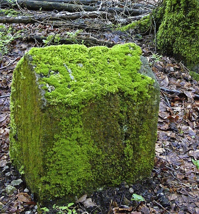 Typischer Grenzstein im Wald: mit Moos bewachsen und oft kaum zu erkennen  | Foto: Richard Kaiser