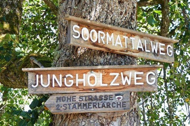 Hauinger Wald bietet Ausflugsziele fr Spaziergnger und Wanderer