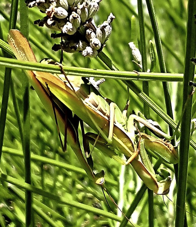   | Foto: Reiner Merz