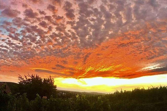 Fotos: Farbenprchtiges Schauspiel am Abendhimmel rund um Freiburg