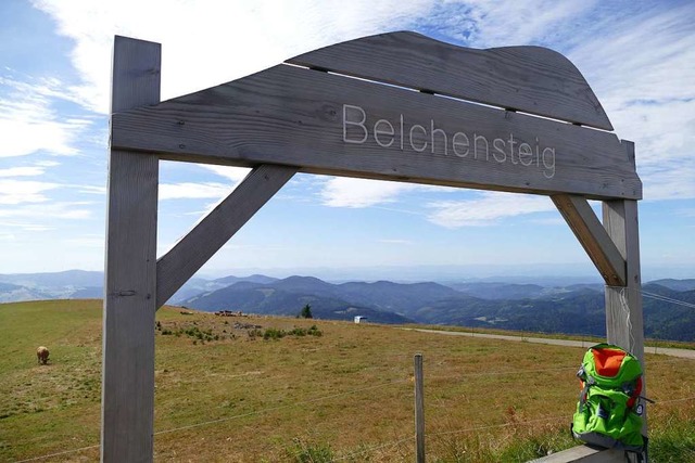 Der Belchensteig besticht mit einem to...nebene und bis zu den Schweizer Alpen.  | Foto: Sarah Trinler
