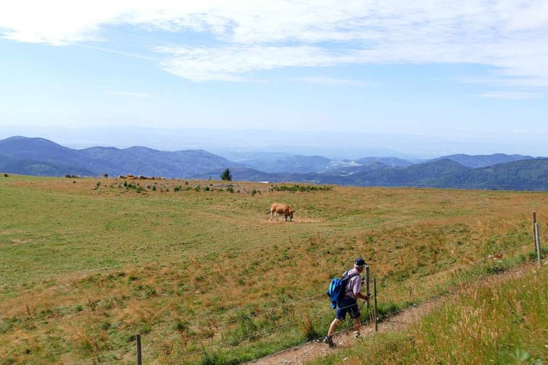 Beliebt bei Einheimischen und Touristen: der Belchensteig.  | Foto: Sarah Trinler