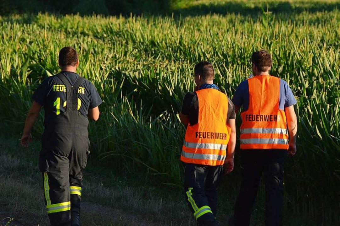 Auch eine großangelegte Suchaktion der Feuerwehr brachte keinen Erfolg.  | Foto: Felix Lieschke