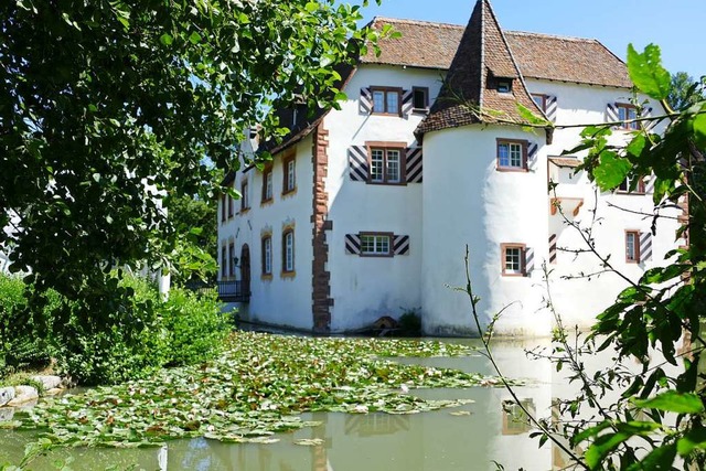 Im Weiher ums   Wasserschloss blhen zur Zeit die Seerosen.  | Foto: Sabine Ehrentreich