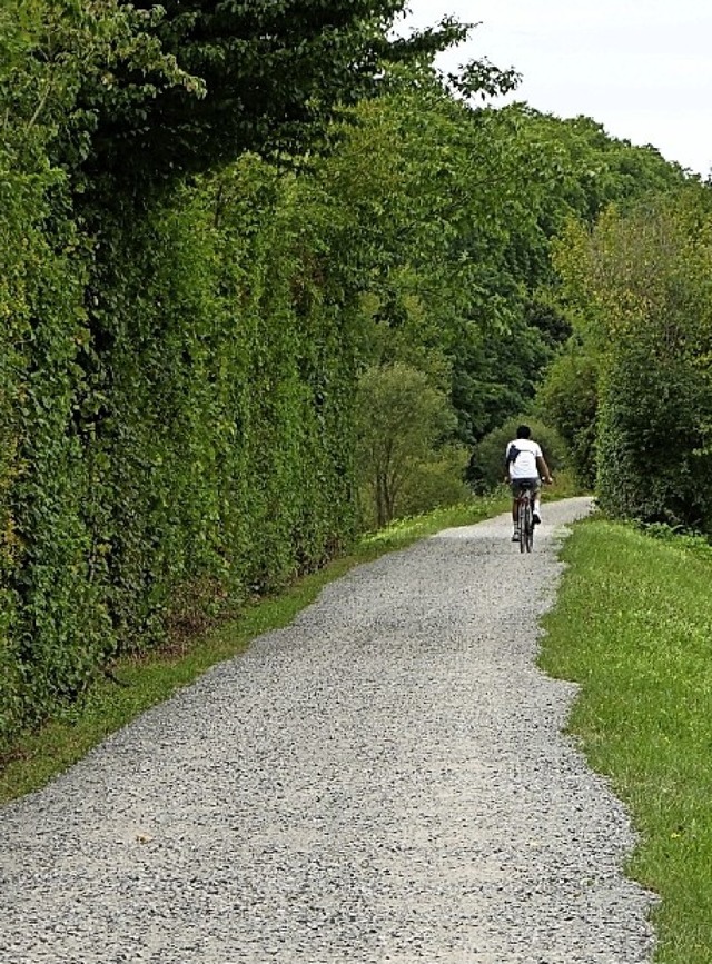 Gute Fahrt  mit dem Rad auf dem Elzdamm.   | Foto: Stadt Waldkirch